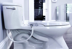 How to fit a Bidet Seat on Your Toilet