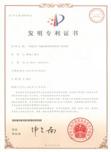 China Patent