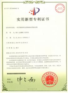 Patent Certificate