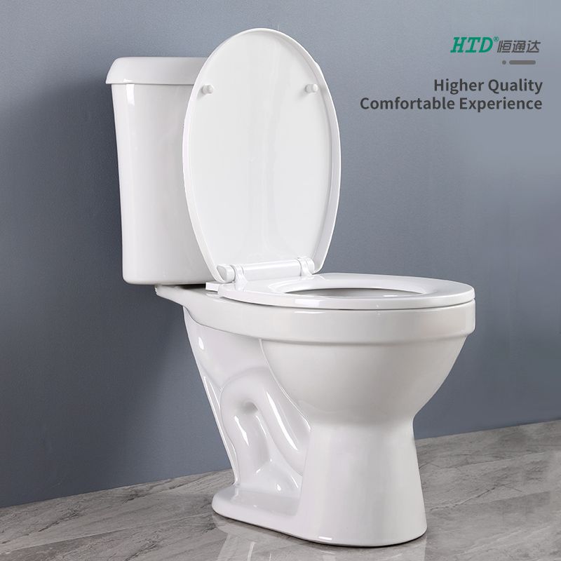 htd-pretty-toilet-seats
