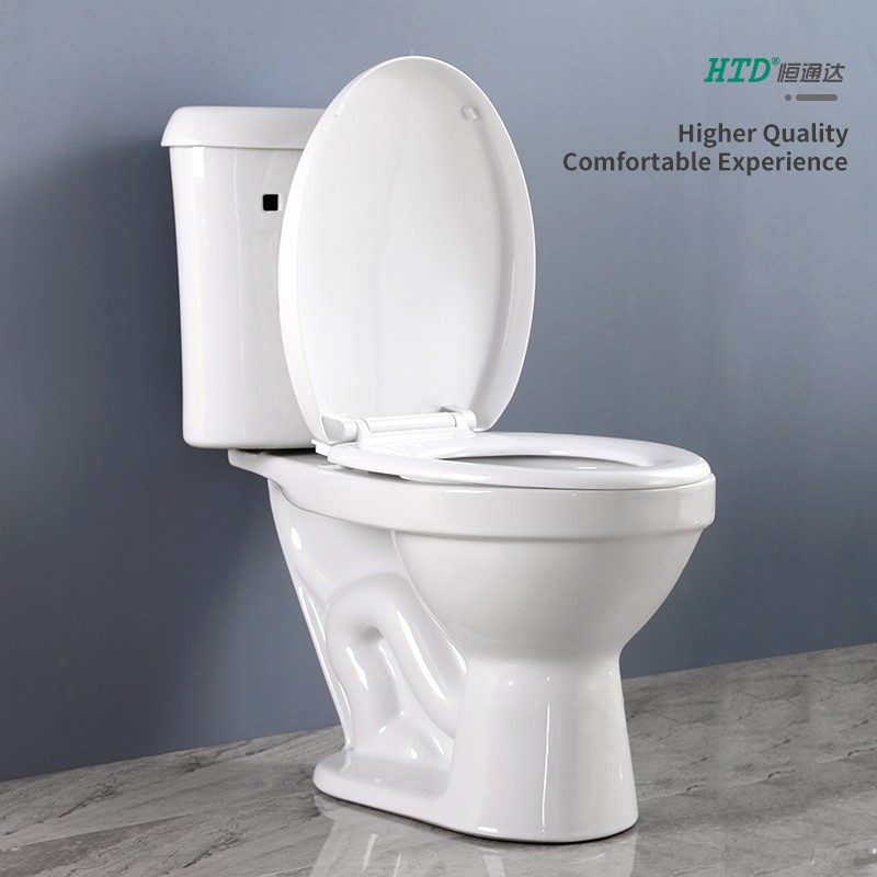 htd-toilet-plastic-seat